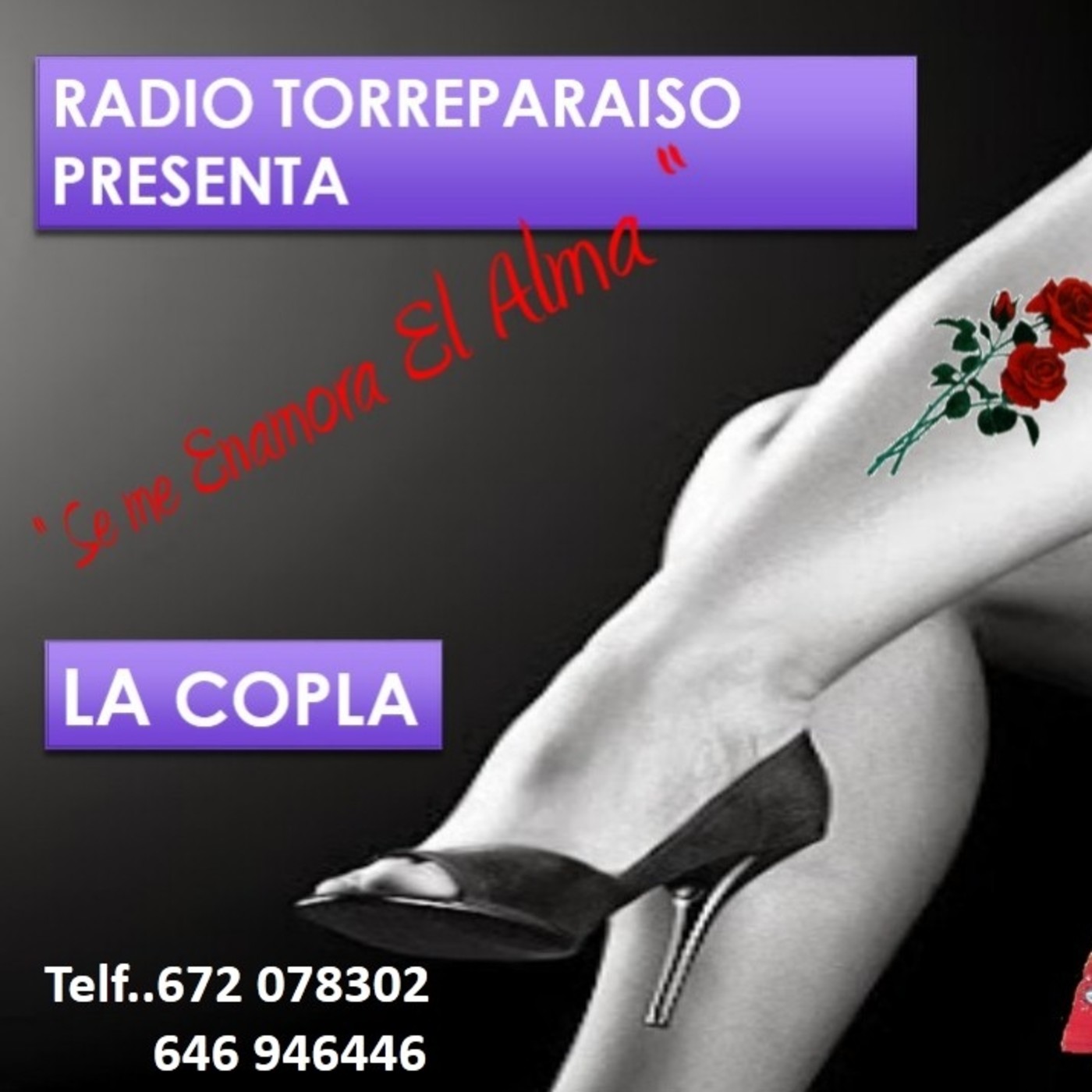 Podcast RADIO TORREPARAISO
