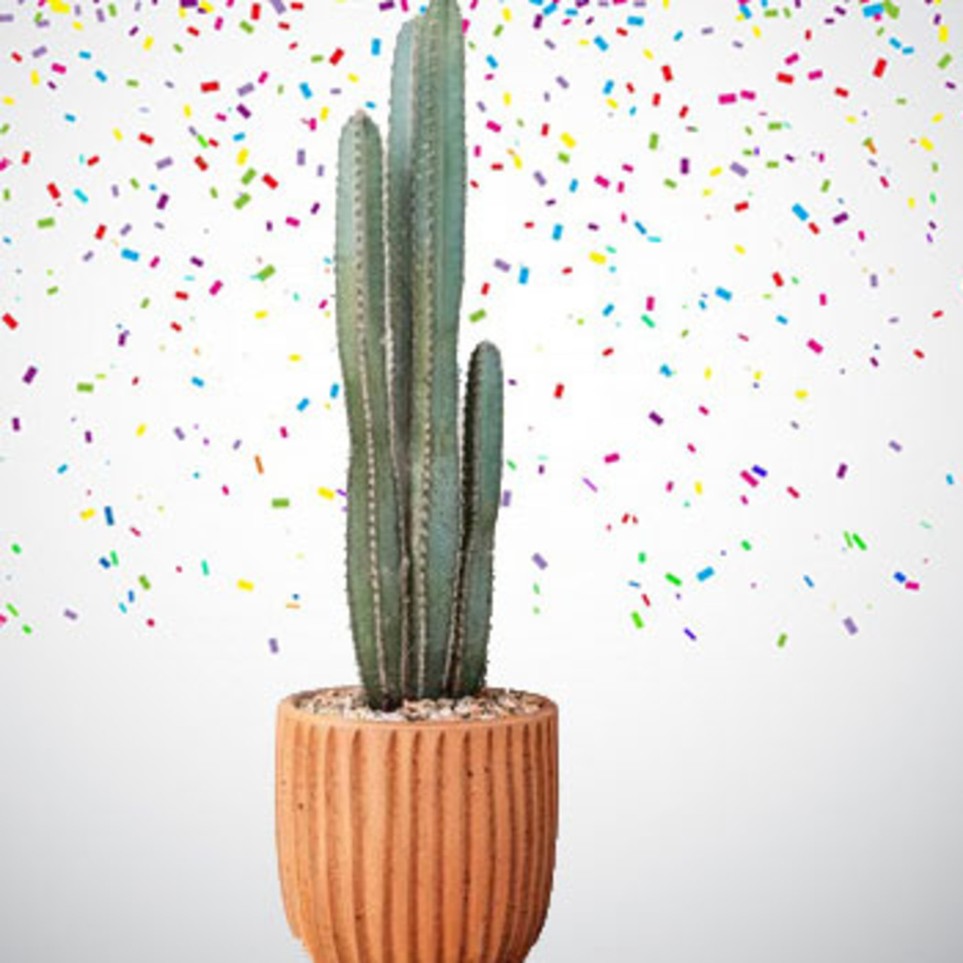 Cactus Confetti