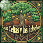 Los Celtas y su relación sagrada con los Árboles- 2 parte