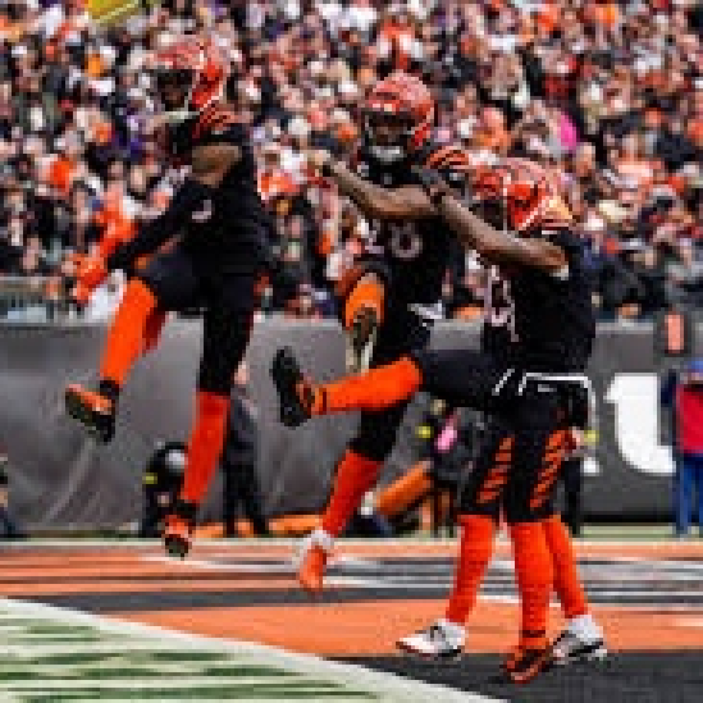 La Jungla Hispana - Bengals.es