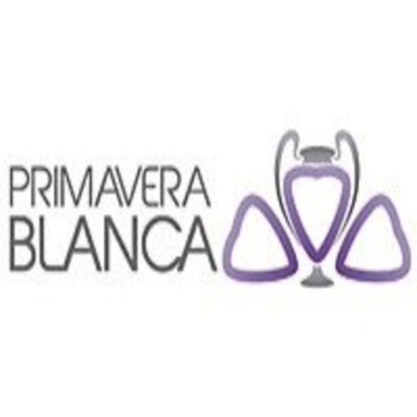 El Radio - Archivos