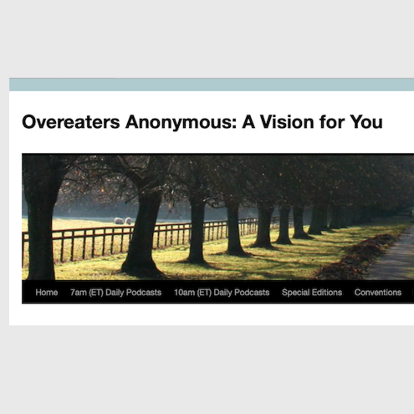 Special Edition A Vision For You traducido 12 OCTUBRE 2014 #AV4YOU #OAUVPT