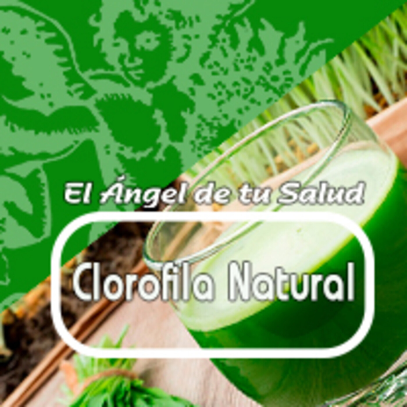 El Angel de tu Salud - CLOROFILA NATURAL*