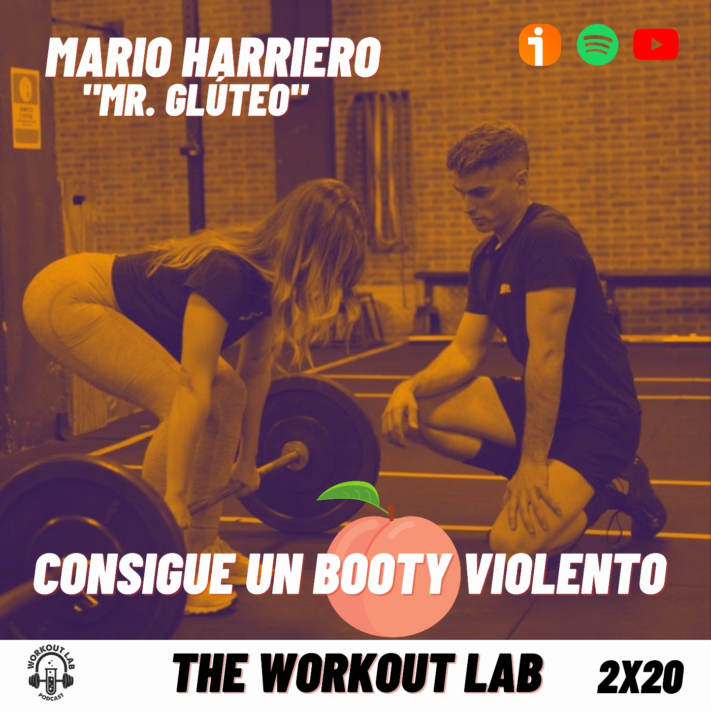 The Workout Lab