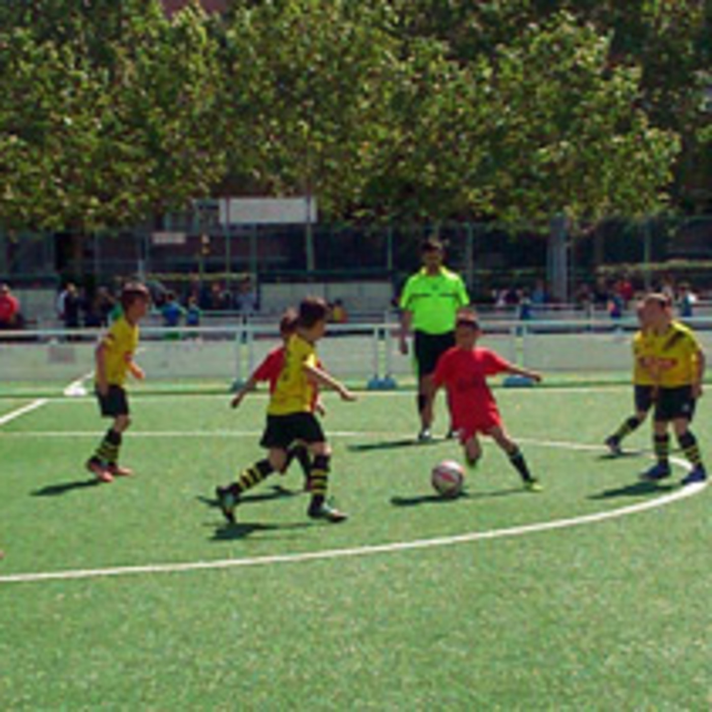 Fútbol