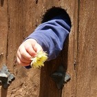 Conoce la importancia de la ternura. Déjate sorprender