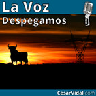 Despegamos: La verdad sobre el decretazo eléctrico de Sánchez: ¿subirá el recibo de la luz? - 26/11/19
