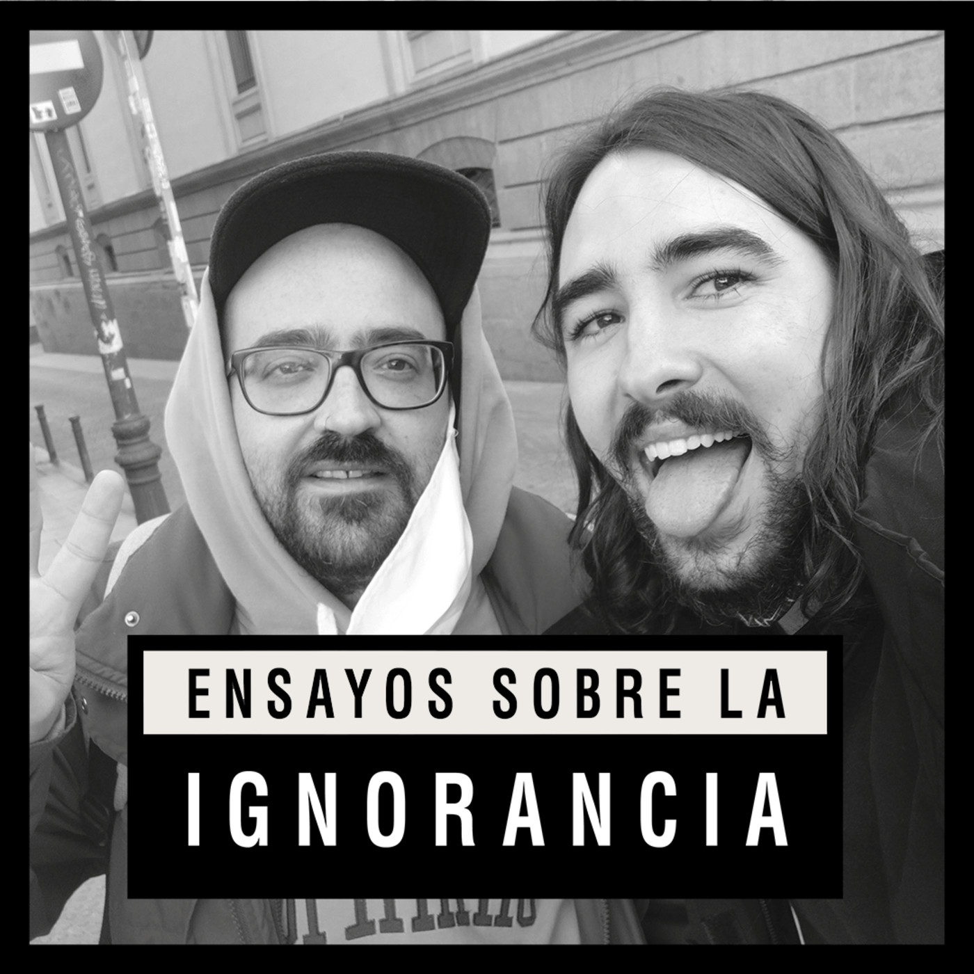 Ensayos sobre la ignorancia