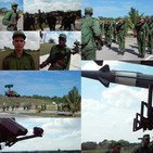 embed image