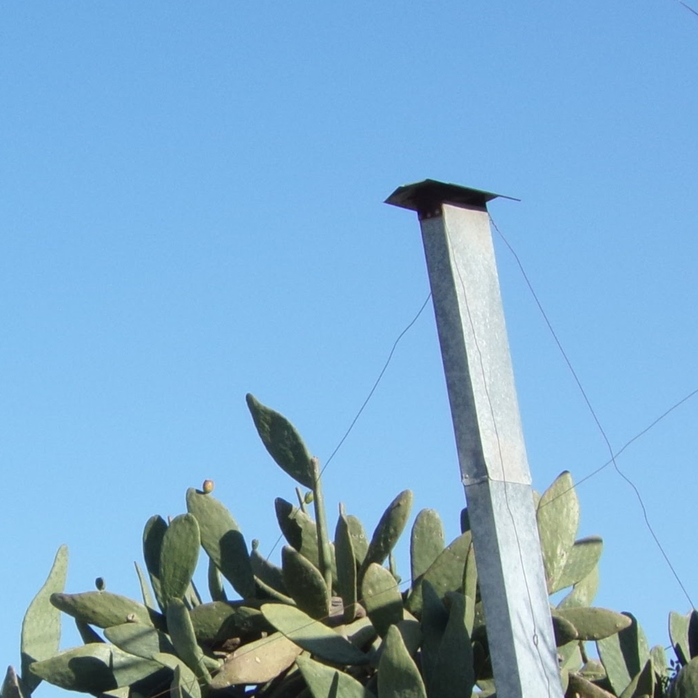 Más vale nunca que tarde