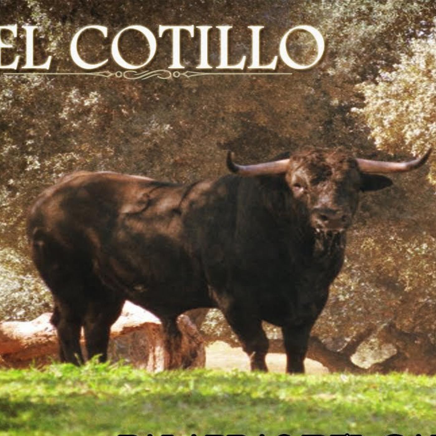 LOS TOROS DE JAÉN EN LA ONDA 15 DICIEMBRE 2015 episode artwork