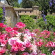 Desde el Jardin