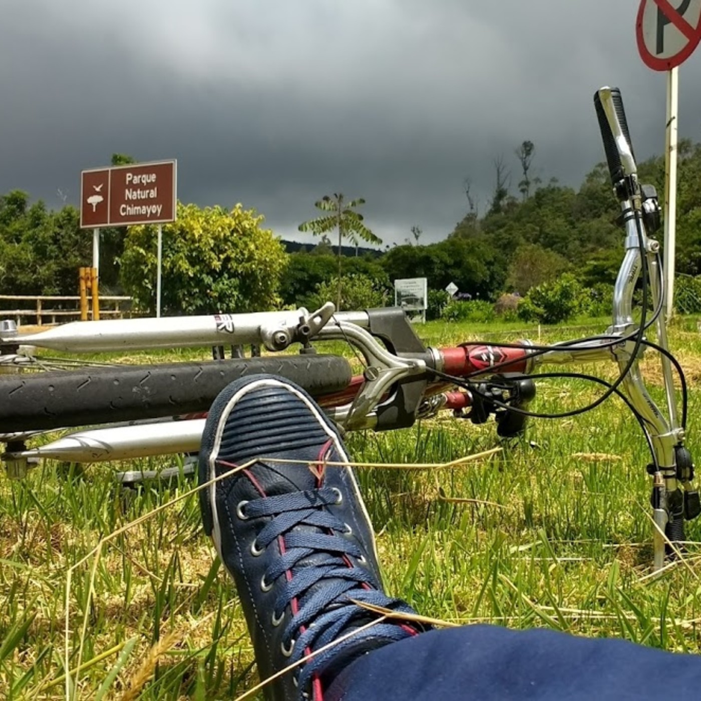 Ambiental Mente