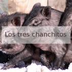 2 Una historia de tres científicos, el sueño de África y más cosas