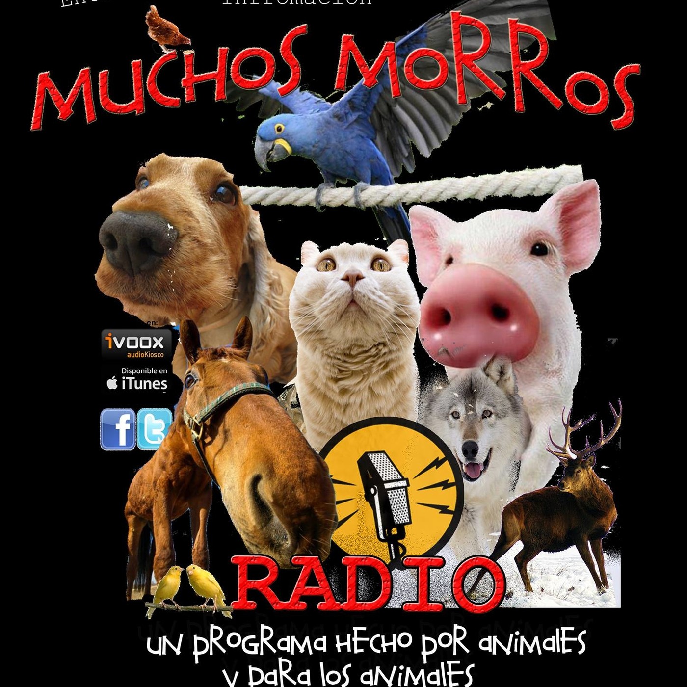MUCHOS MORROS