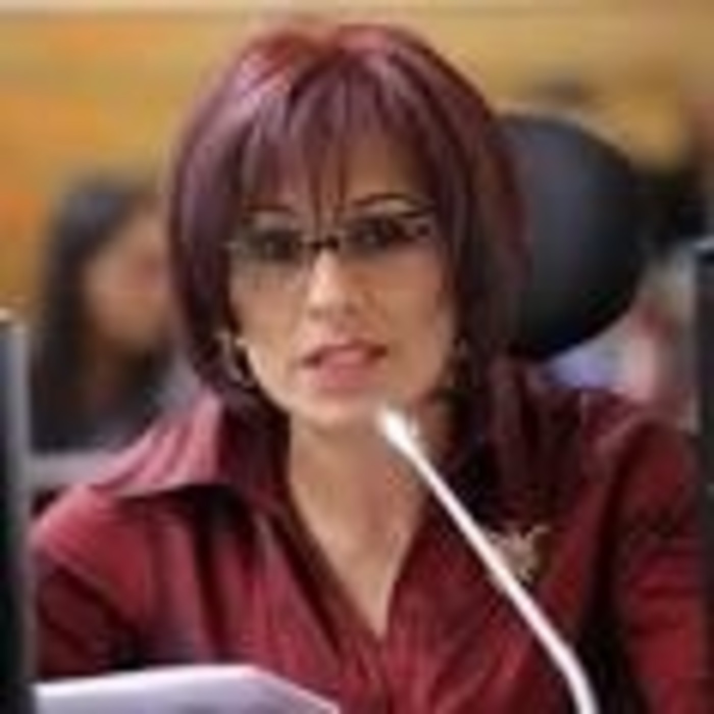 Partido MIRA
