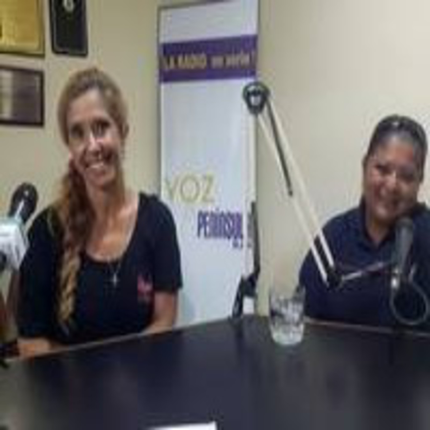 PROGRAMA 104: Academias, Escuelas y Grupos de Danzas episode artwork