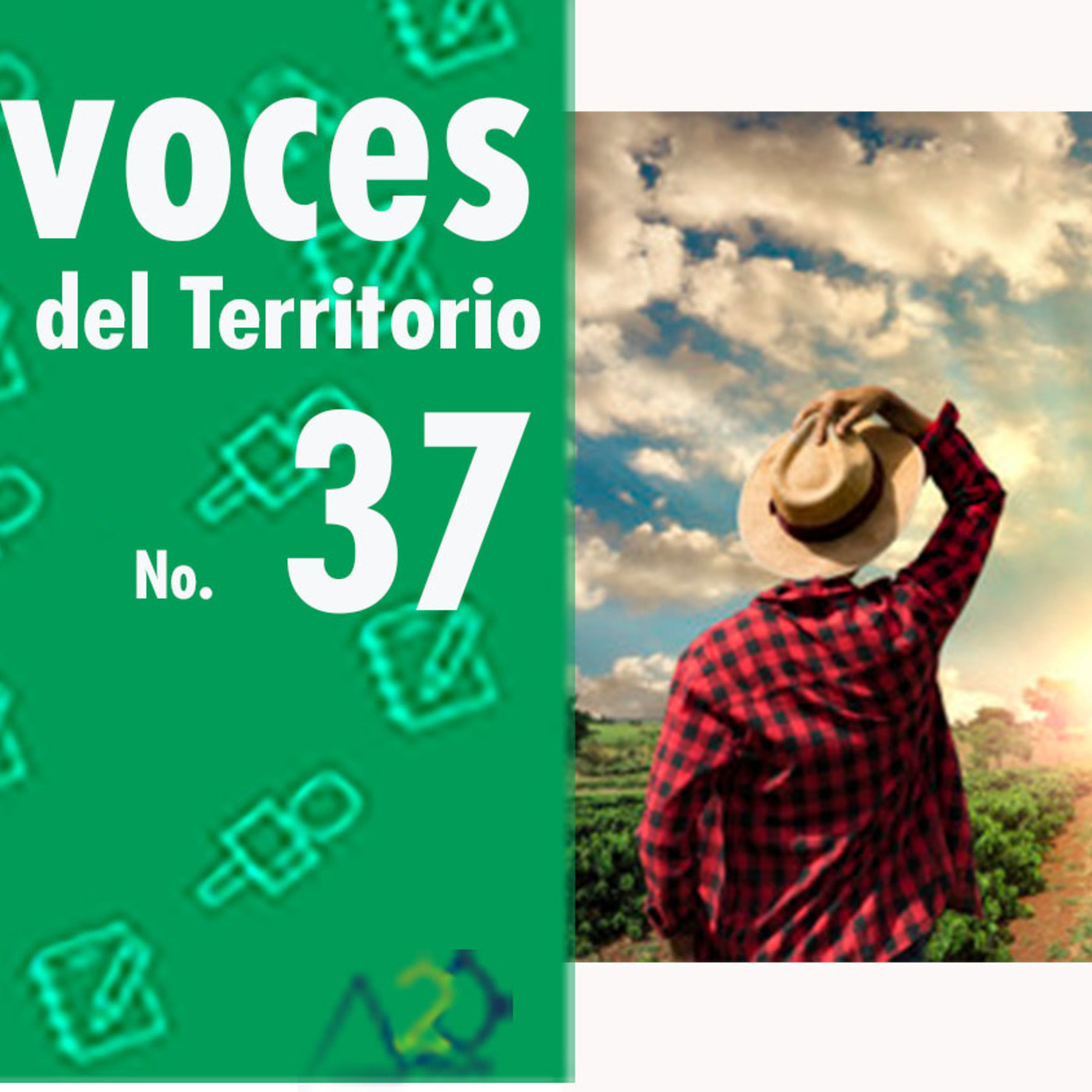 Voces del Territorio