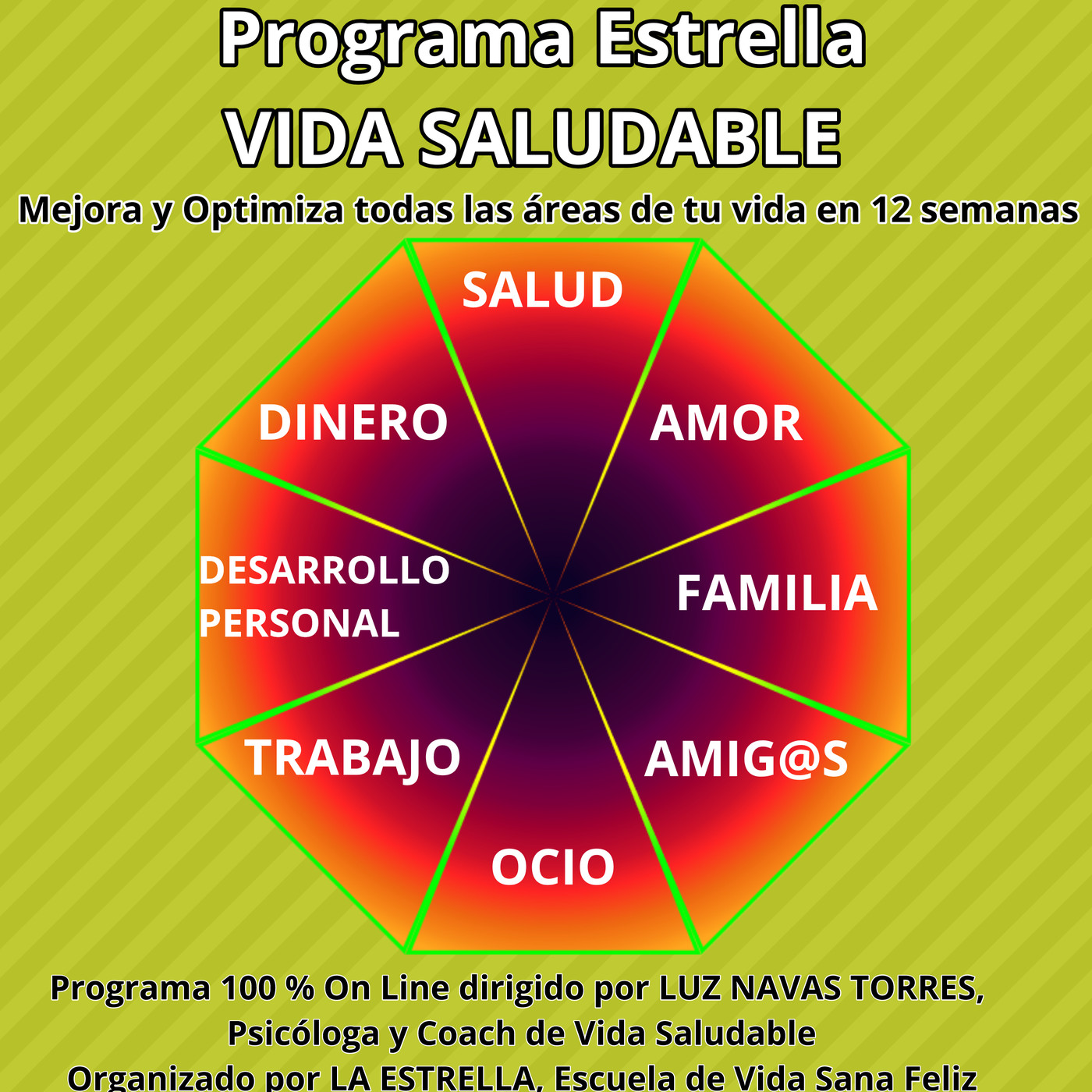 Programa Estrella Vida Saludable