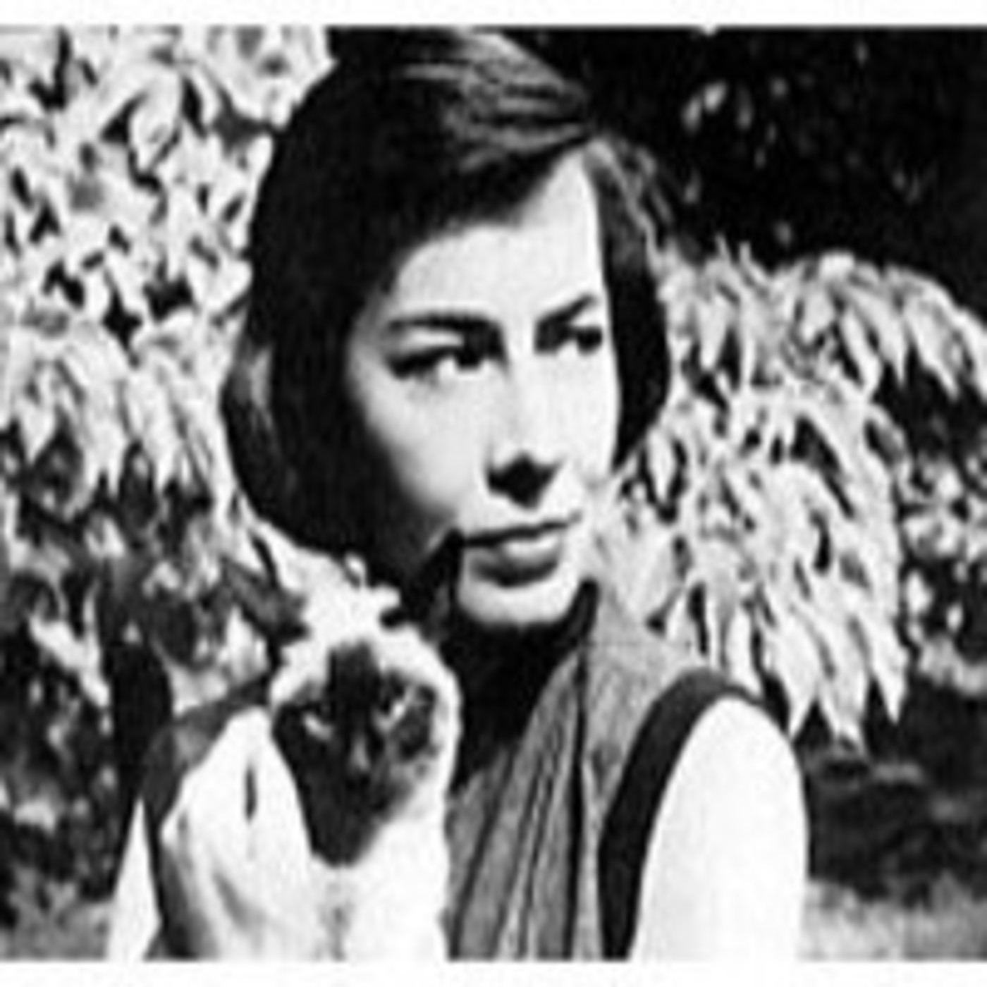 Jitanjáfora en La Enredadera de Radio Topo