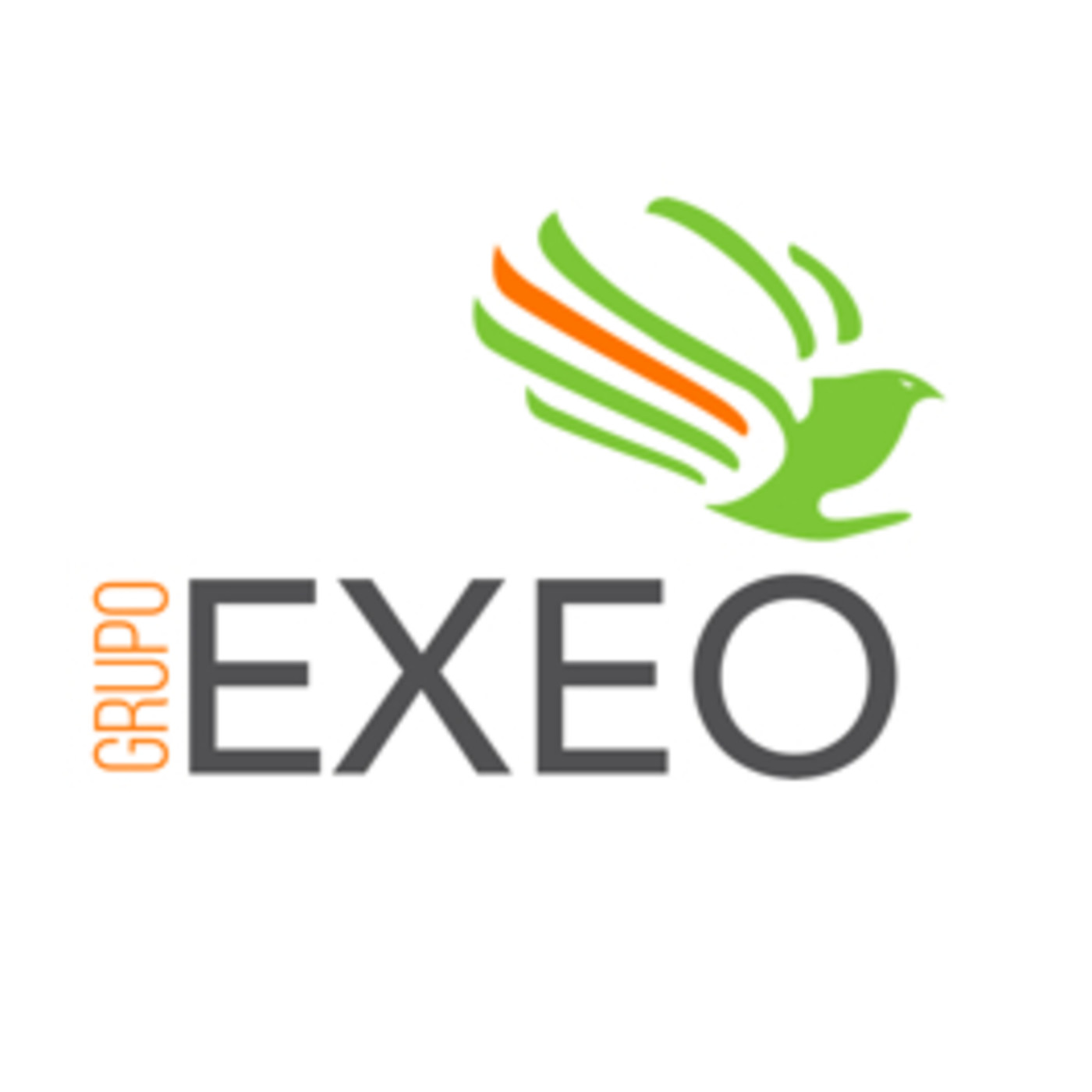 GRUPO EXEO