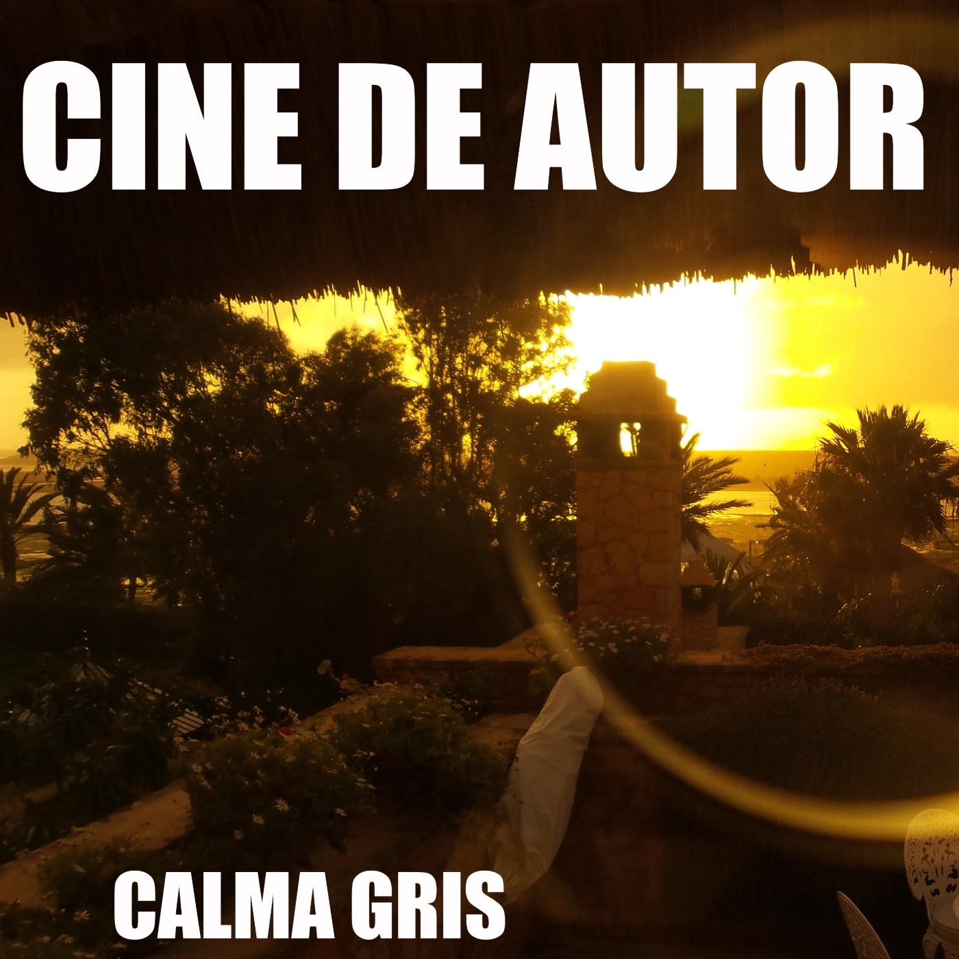 CINE DE AUTOR