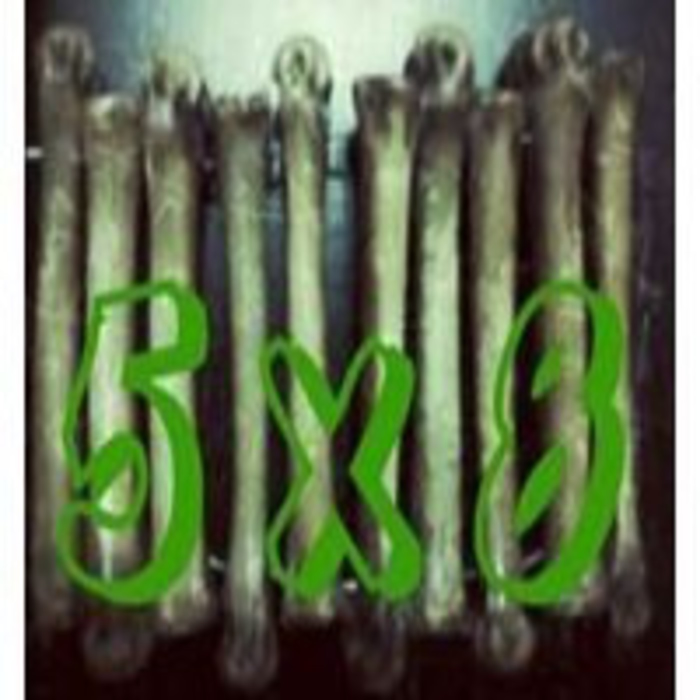 5 x 8