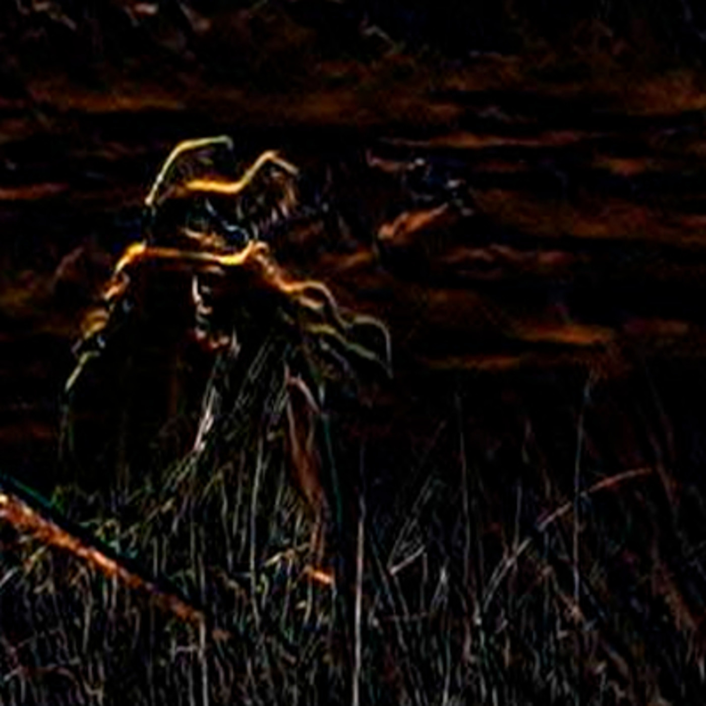 Audios de Viaje a otra dimensión