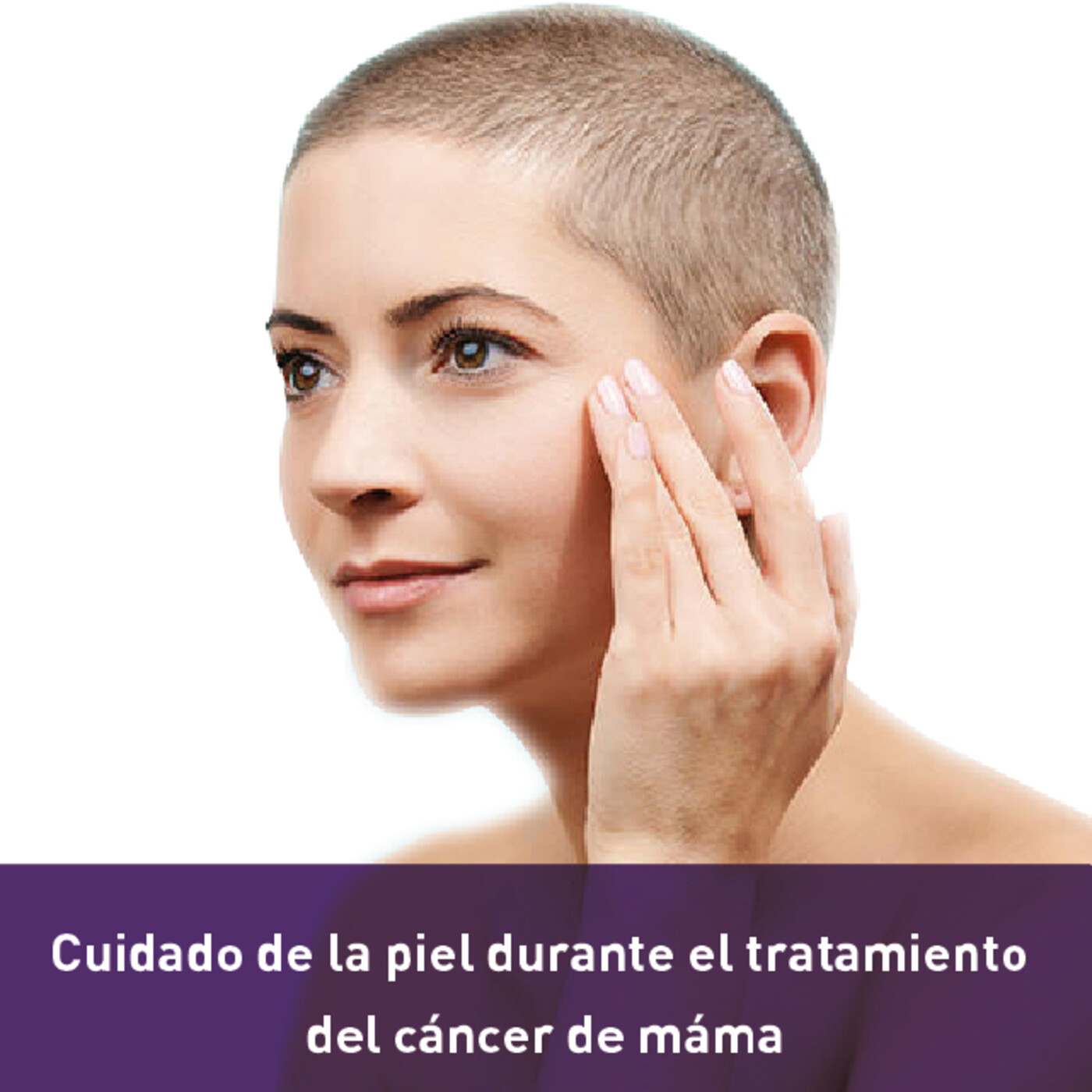 GEICAM T-Habla