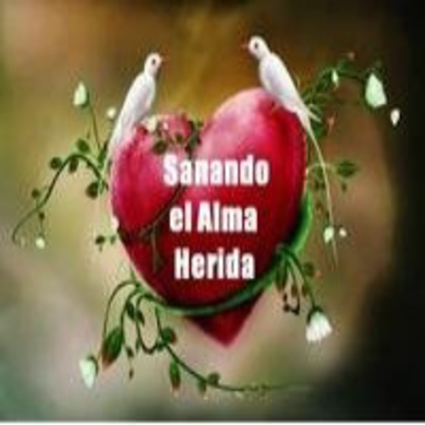 Sanando el Alma Herida