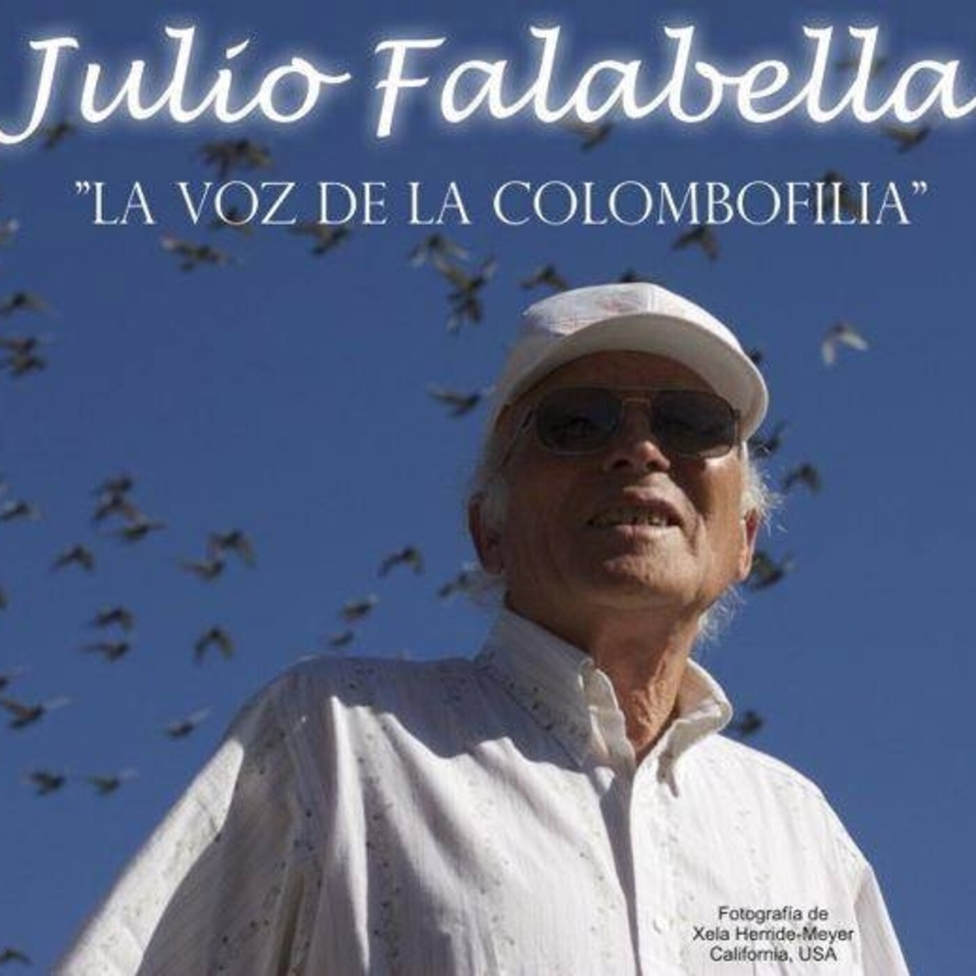 Conociendo La Paloma Mensajera