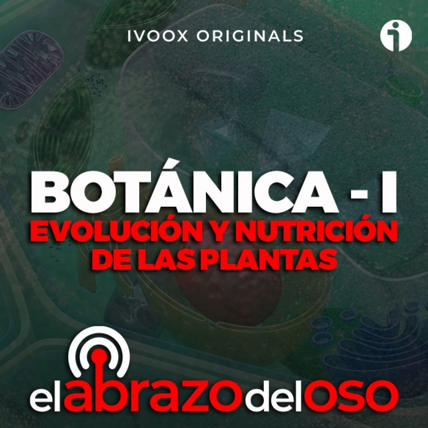 El Abrazo del Oso Podcast