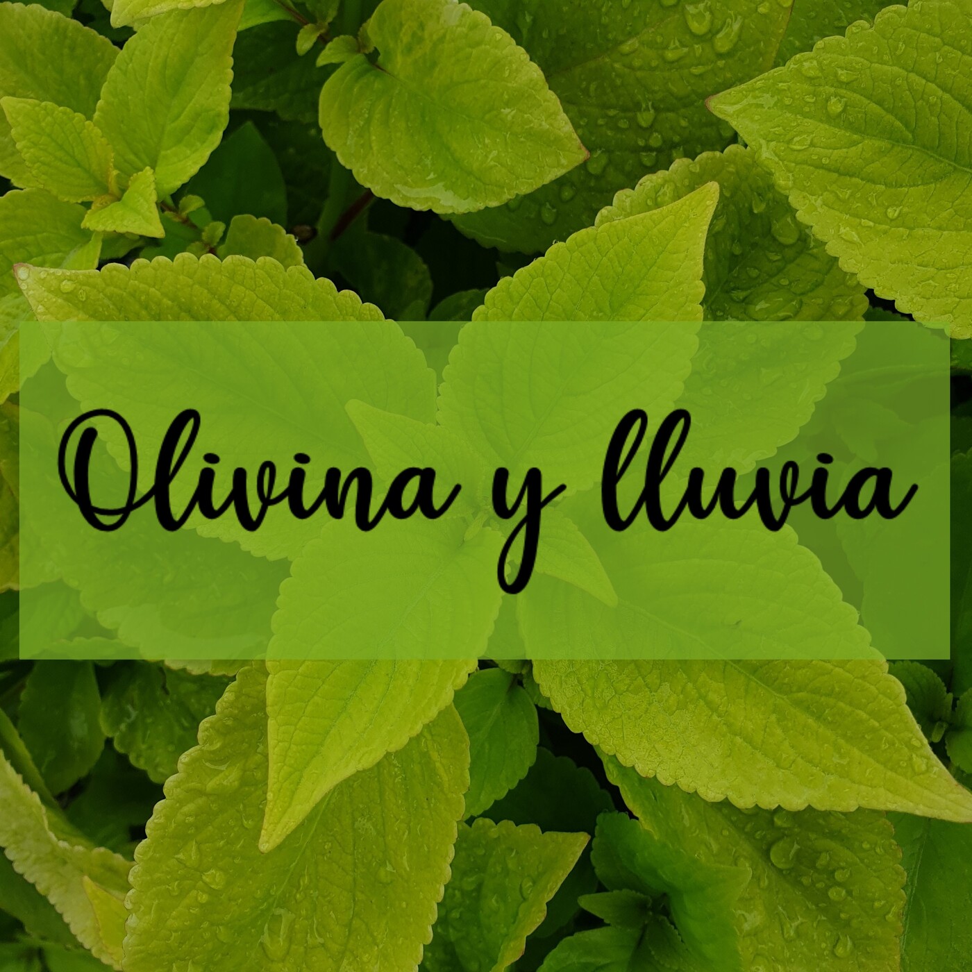 Las Escritoras de Urras