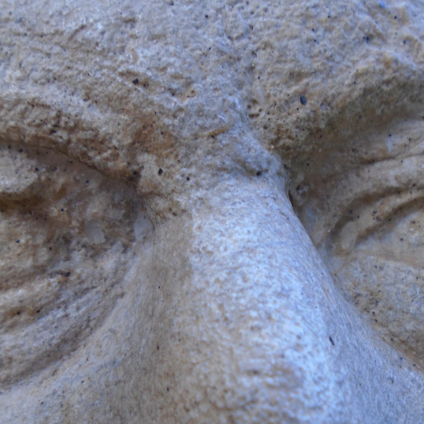 Ronda de Nit (20-11-15)(399) episode artwork