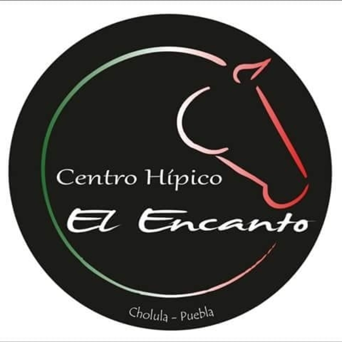 SPOTS HACIENDO RADIO MX
