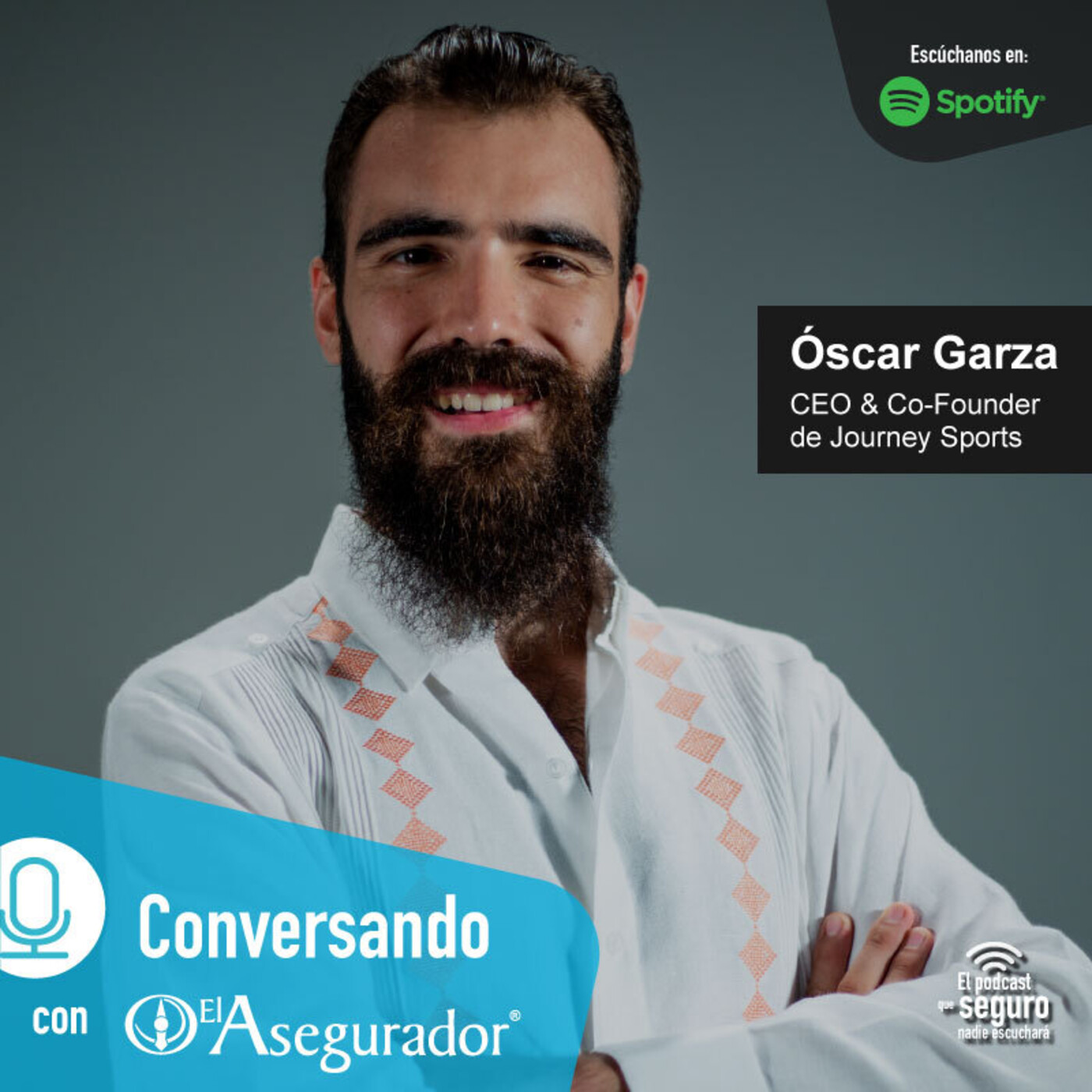 El Asegurador