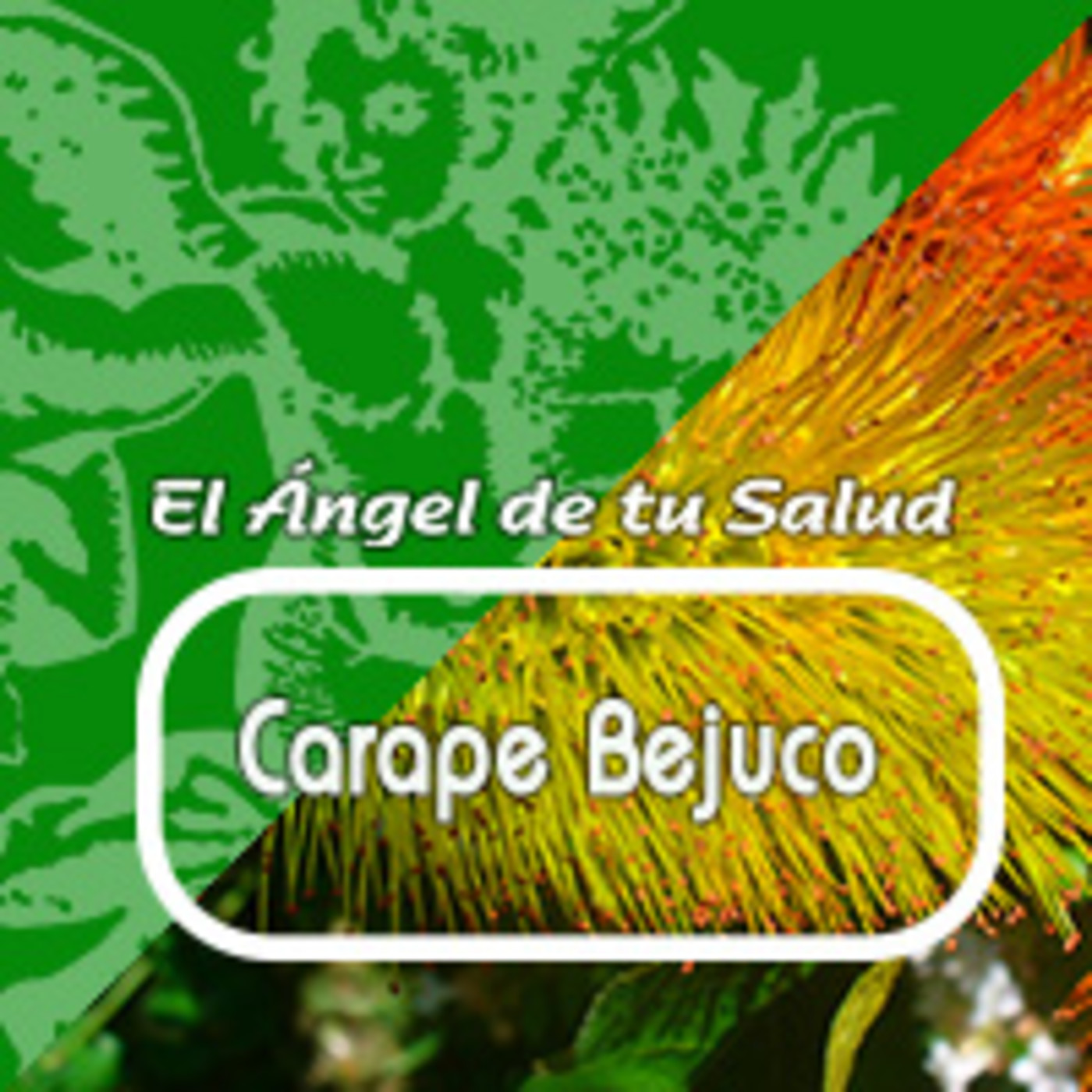 El Angel de tu Salud - CARAPE*** episode artwork