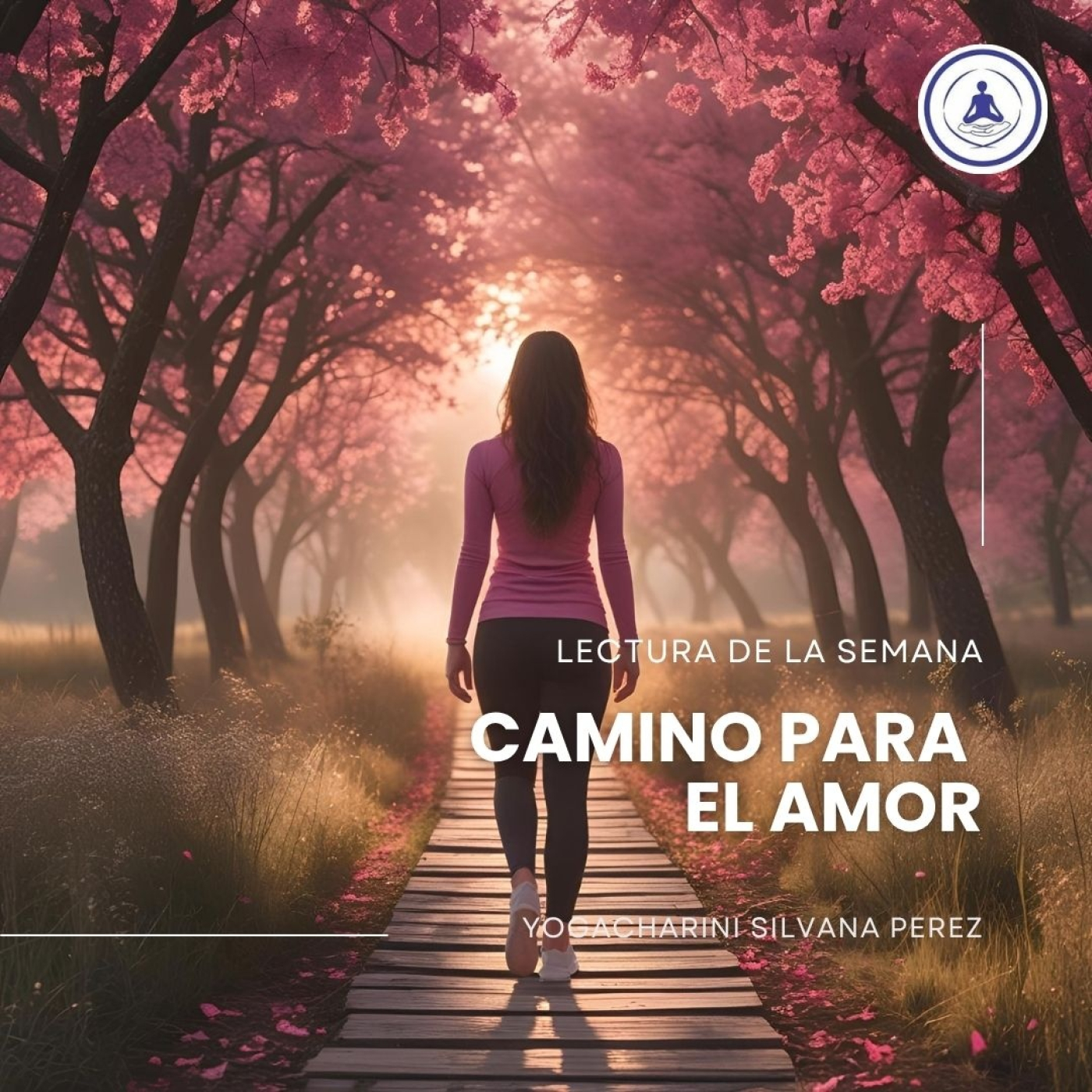Camino para el amor episode artwork