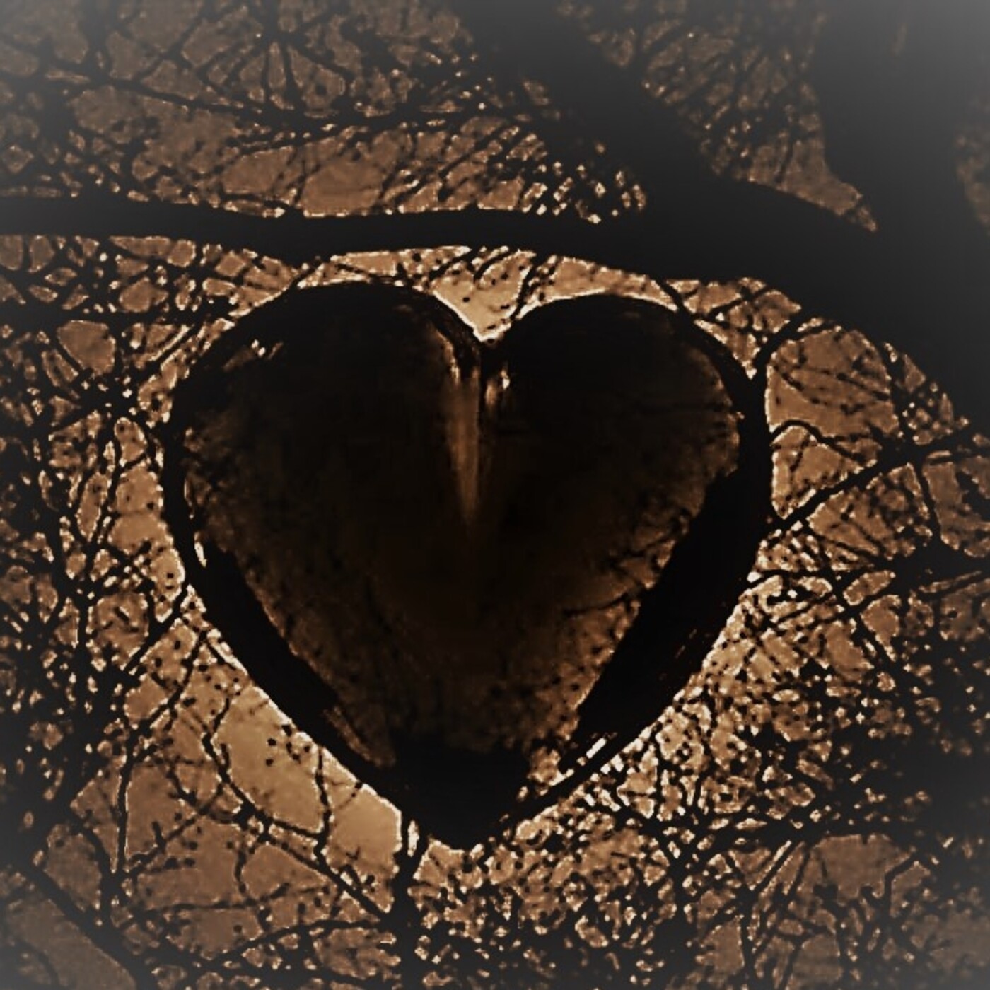 Sonetos del Amor Oscuro (Noche del Amor Insomne) episode artwork
