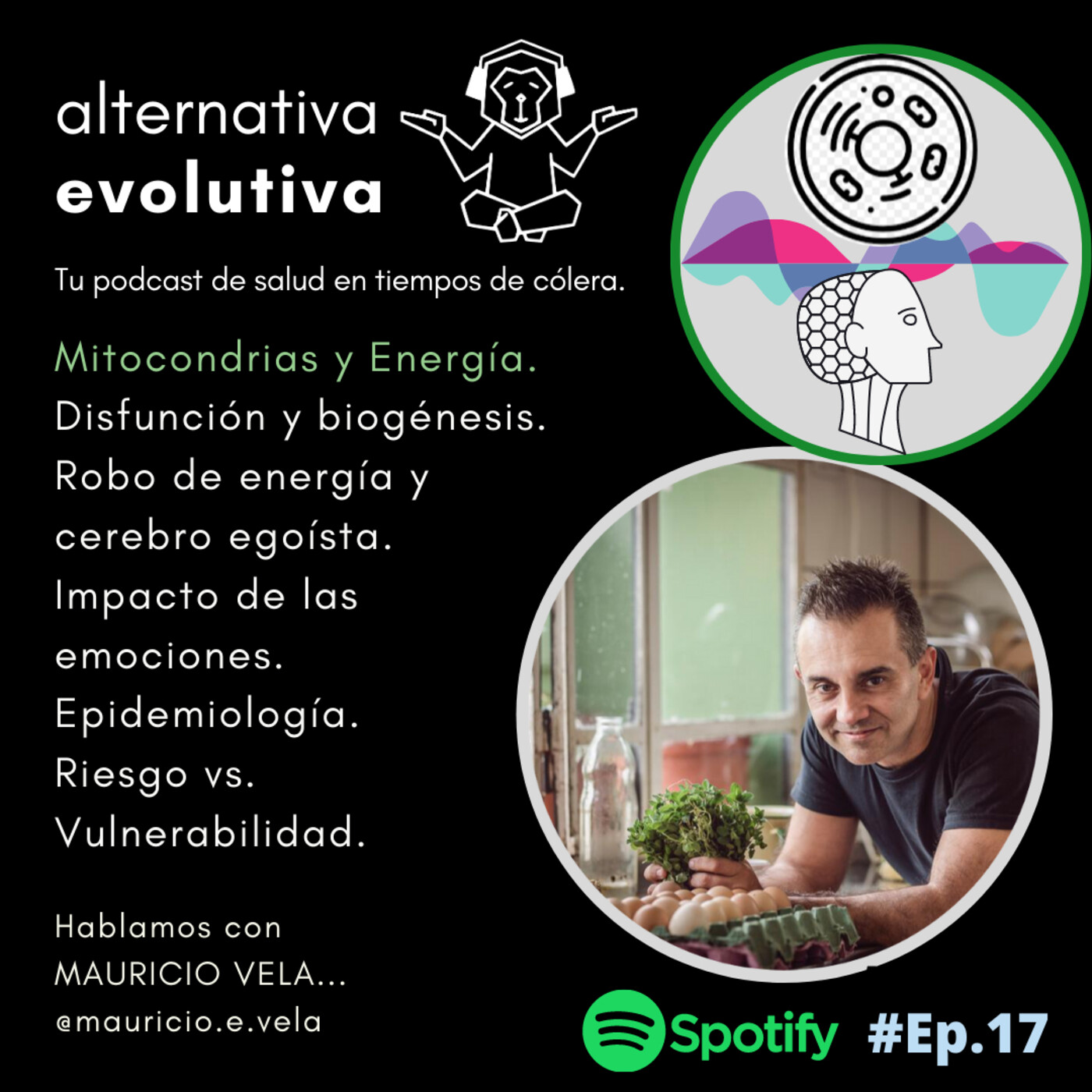 Alternativa Evolutiva
