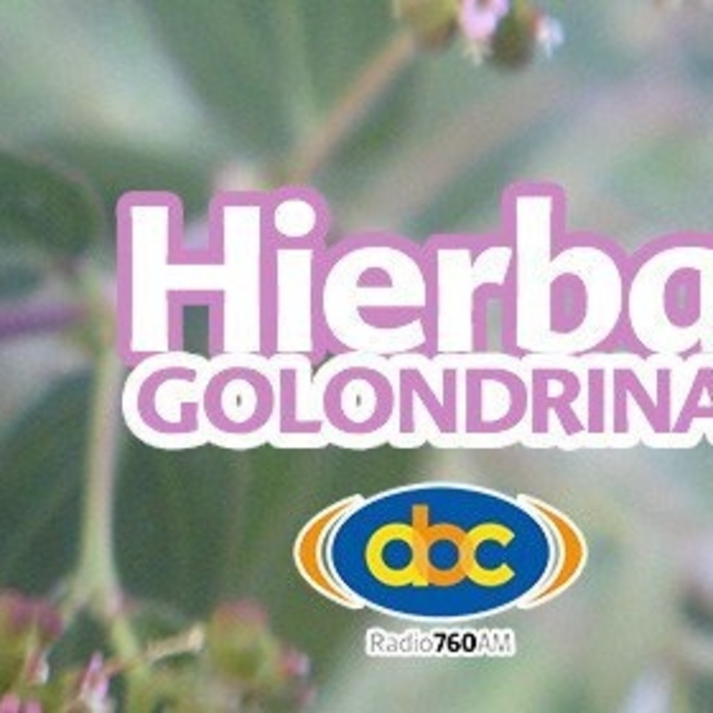 El Angel de tu Salud - HIERBA DE LA GOLONDRINA episode artwork
