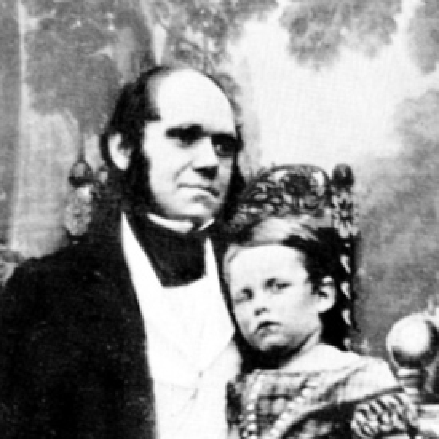 843 - Charles Darwin. Parte 2