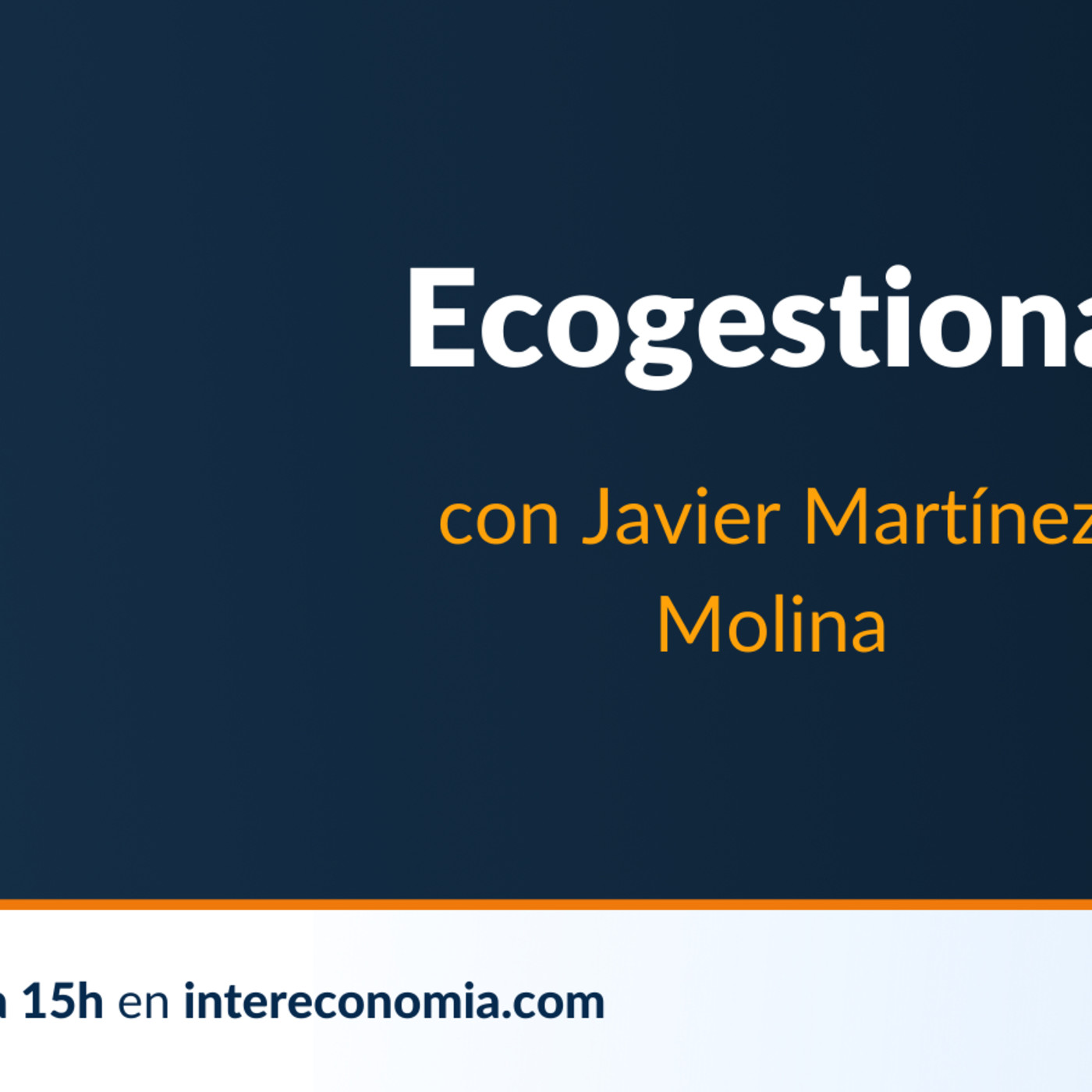 Ecogestiona
