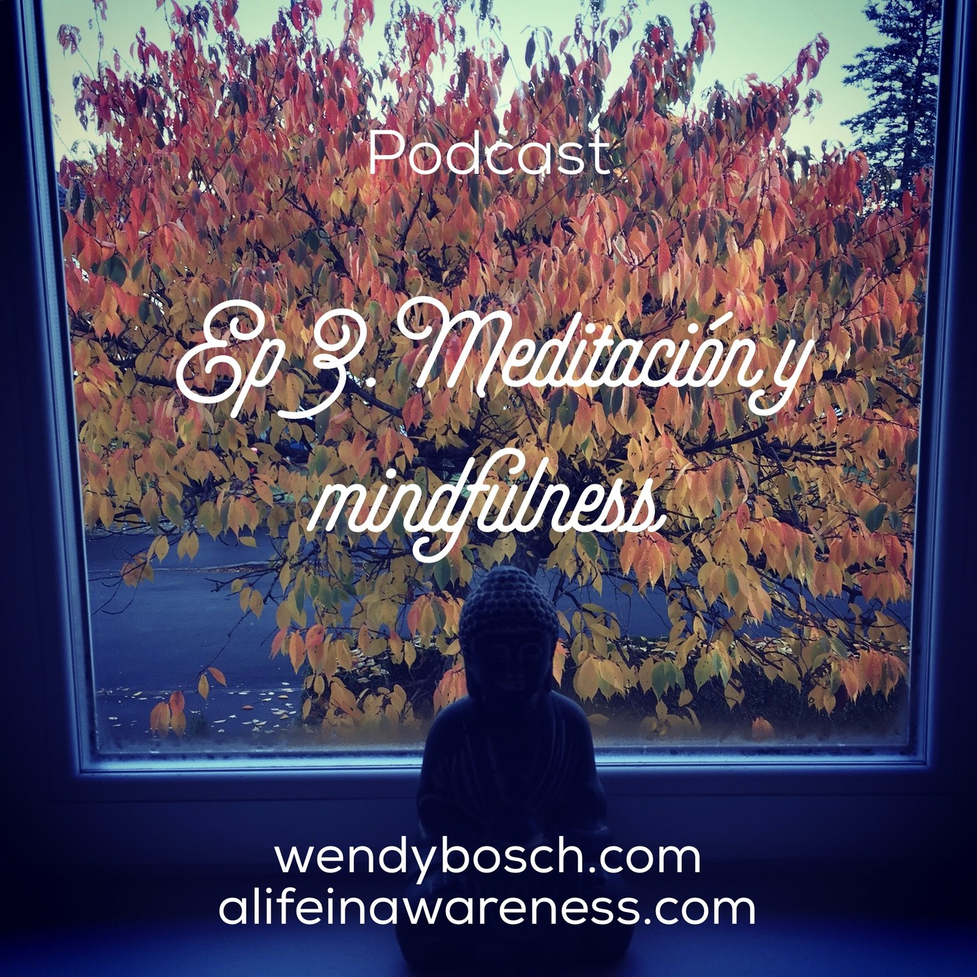 Meditación y Mindfulness - Ep 3