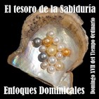 El Tesoro de la Sabiduría (Mateo 13, 44-52)