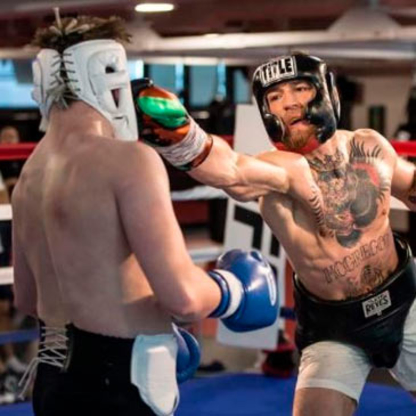 Dragonz | Artes Marciales y Deportes de Contacto