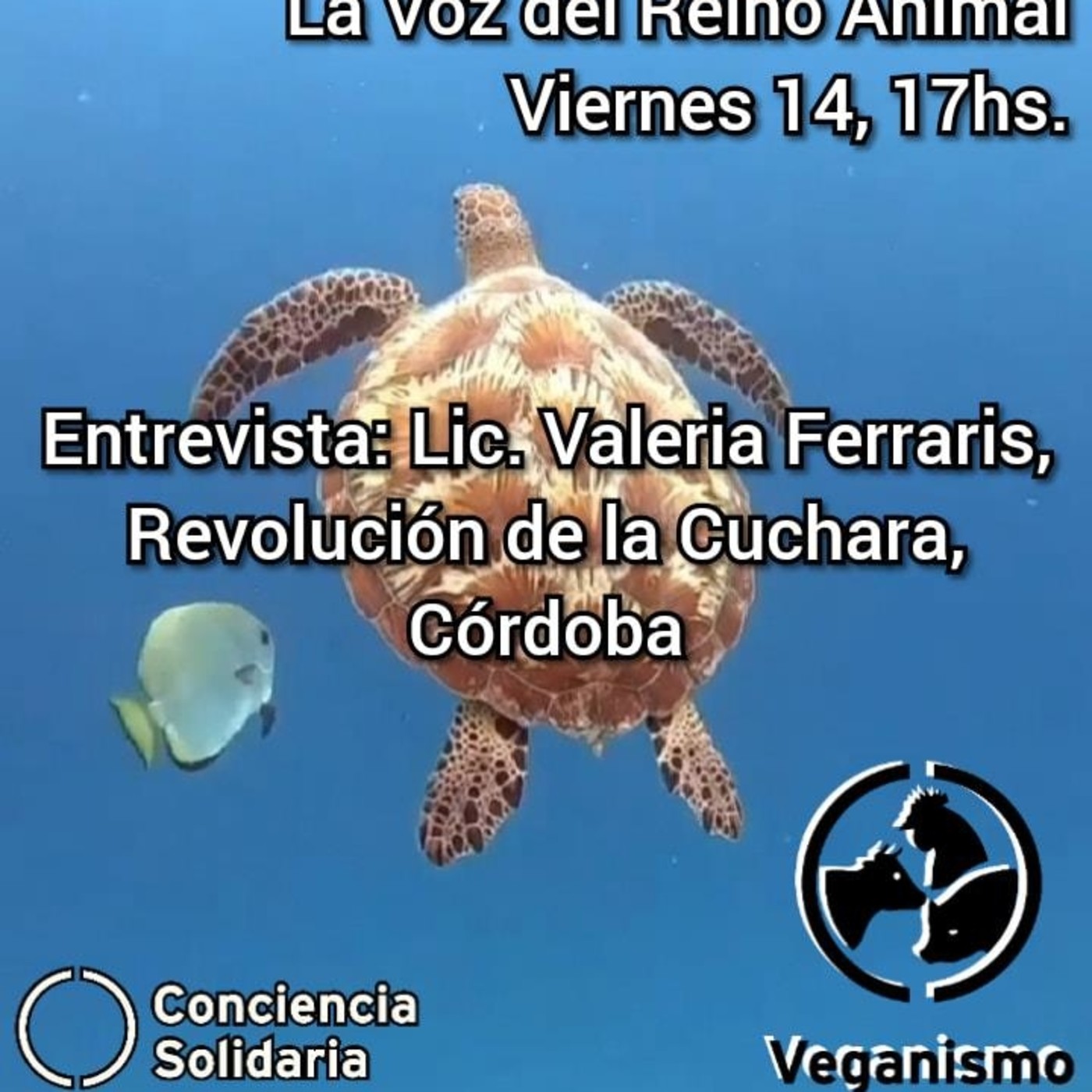¡Enganchate con #LaVozDelReinoAnimal! 14.6.19 episode artwork