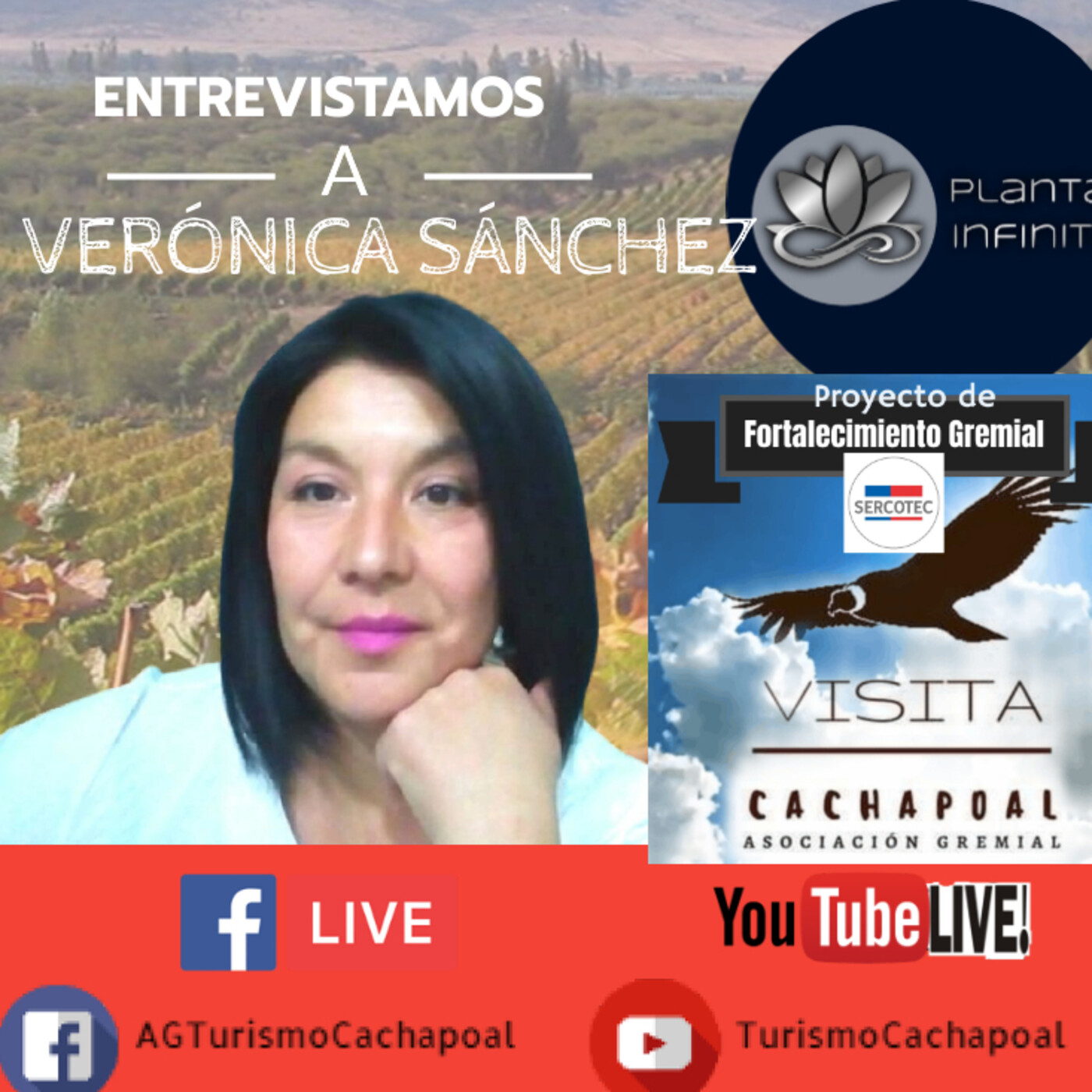 AG Turismo Cachapoal