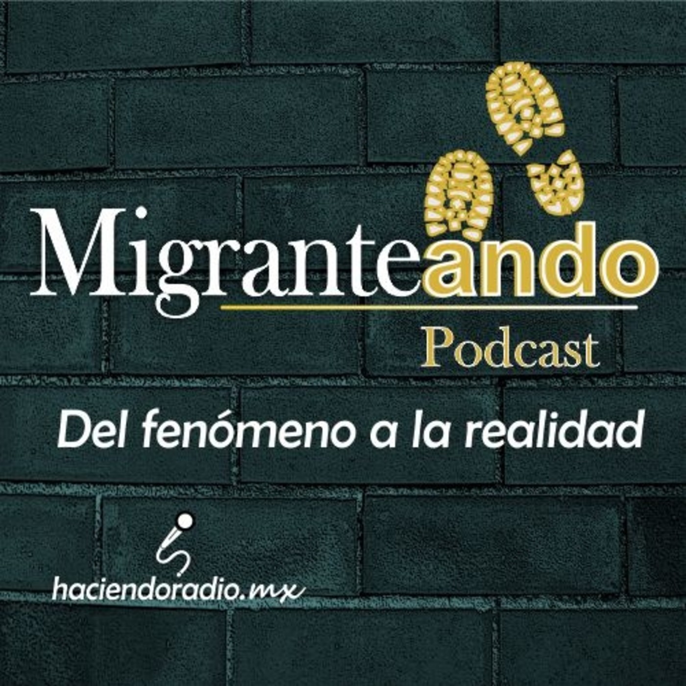 DEL FENÓMENO A LA REALIDAD