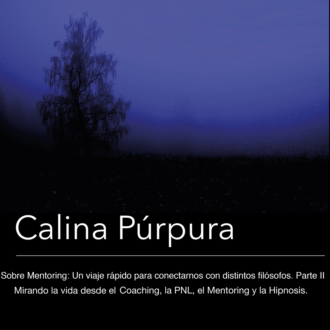 #21 Sobre Mentoring: Un viaje rápido para conectarnos con distintos filósofos. Parte II episode artwork